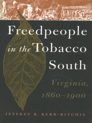 cover image of Freedpeople in the Tobacco South